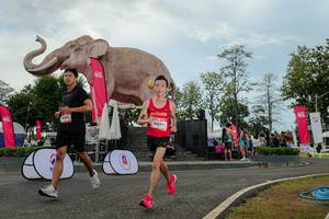 BIB: 
                            <button type="button" onclick="openModal(26528856)" class="btn btn-primary btn-sm float-right btn-popup" data-toggle="modal" data-target=".modal-high-quality">
                        <i class="fas fa-shopping-cart"></i> Add to Cart
                    </button>
                                            <button type="button" onclick="isThisMe(26528856, true)" class="btn btn-success btn-sm float-right btn-popup btn-isme hidden" data-toggle="tooltip" data-placement="bottom" title="นี่คือรูปของคุณใช่ไหม คลิกที่นี่เพื่อเอาเข้าอัลบั้ม">
                        <i class="fas fa-plus"></i> Add to album
                    </button>
                    <button type="button" onclick="isThisMe(26528856, false)" class="btn btn-warning btn-sm float-right btn-popup btn-isnotme hidden">
                        <i class="fas fa-ban"></i> Remove from album
                    </button>